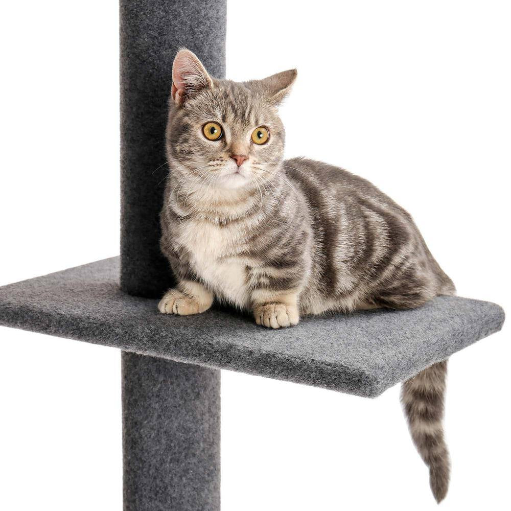 Pet Cats Scratching Posts and Trees Crawler Cat Tree