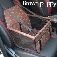 Brown Puppy